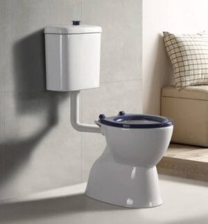 Toilet with dual-flush system and modern design, suitable for bathroom renovations and plumbing supplies.