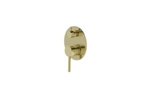 JESS Shower Mixer with Diverter in Brushed Brass