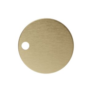 Brushed Brass Toilet Hinge