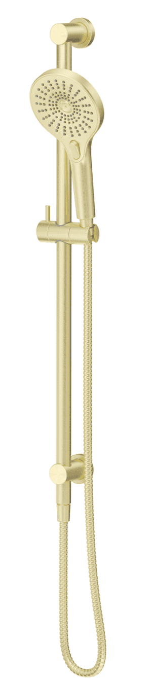 Mica Shower Rail - Inbuilt Inlet- French Gold