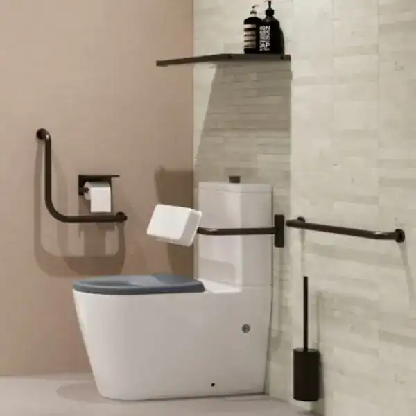 disabled toilet homepage op