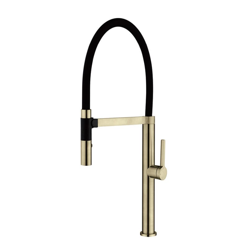 ROMEO Sink Mixer with Black Hose WT 6205BB
